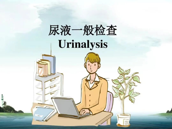 1764645163639090046.png 微信图片_20251202110533_3_6.png