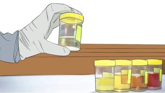 1764645184014055283.png 微信图片_20251202110421_2_6.png