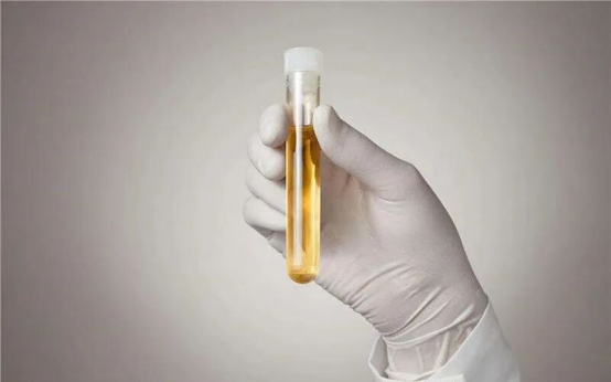 1764645206982006629.png 微信图片_20251202110415_1_6.png