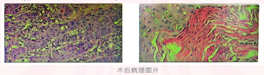 微信图片_20250624110617_conew1.png