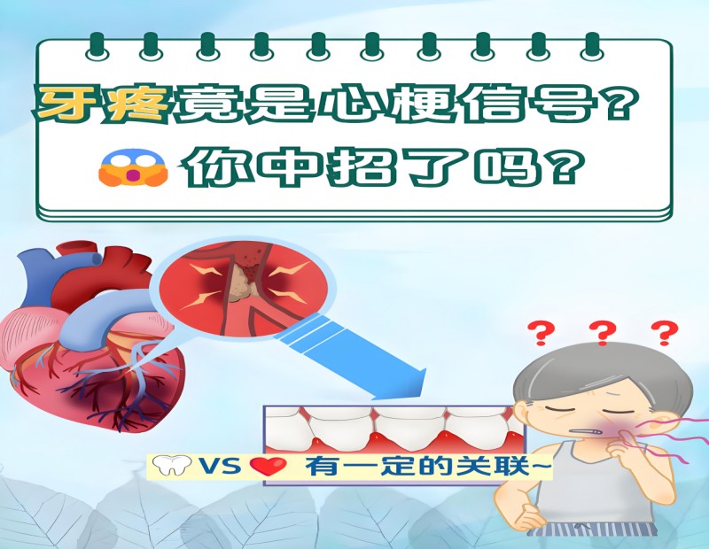conew_图片8.jpg