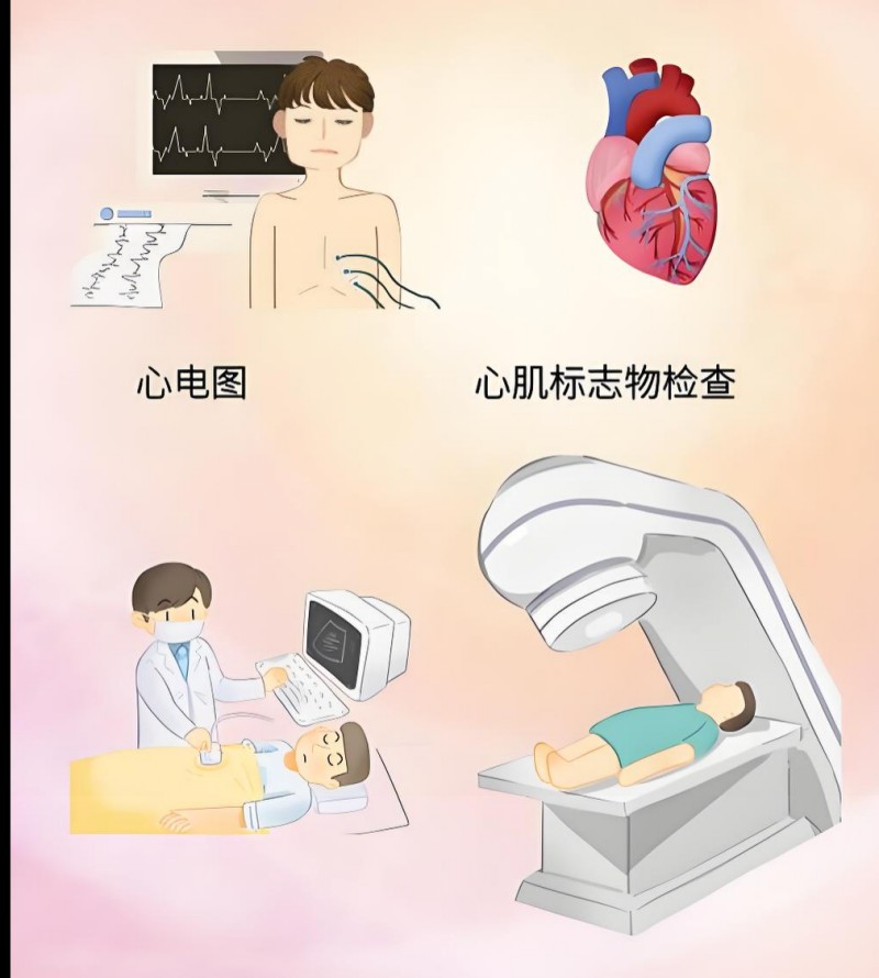 conew_图片12.jpg